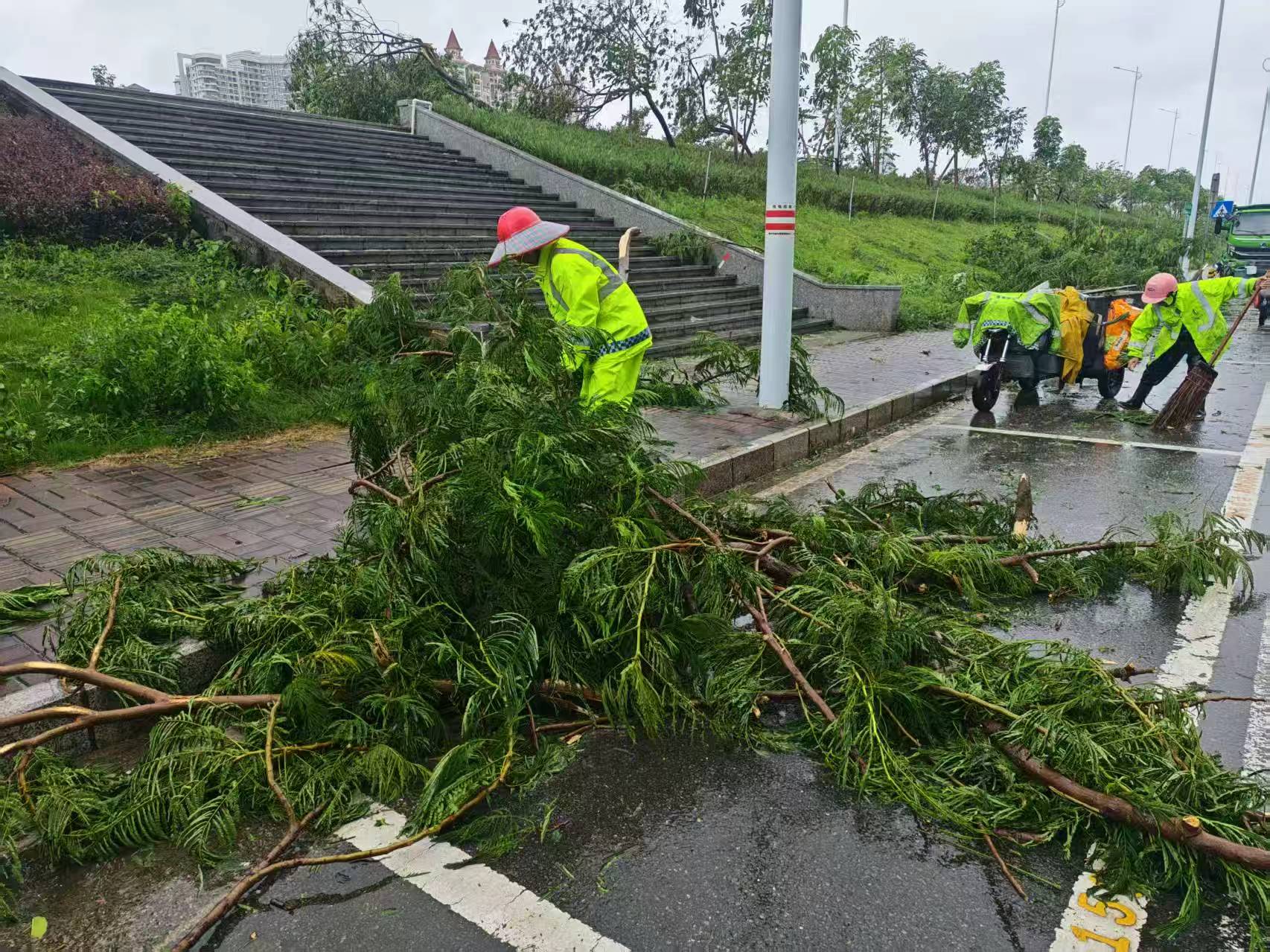 台风过后,协调环卫等各方力量开展道路清障。